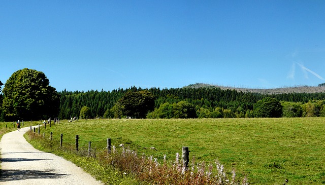 Route onderweg in Šumava