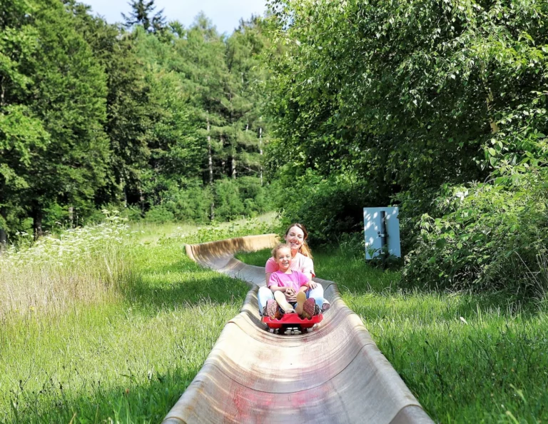 Sommerrodelbahn – Erlebnisberg Silberberg