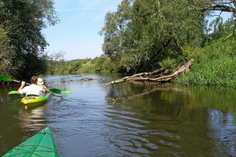 Kanoen op de Sazava dagtrips