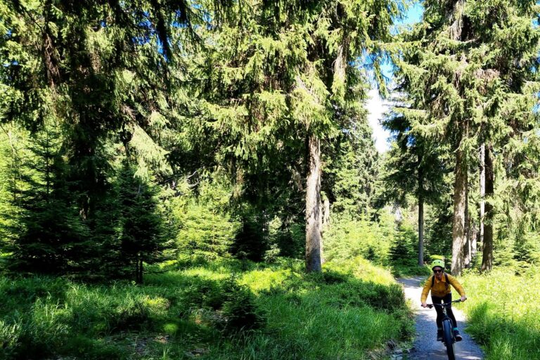 Mountainbiken Ertsgebergte