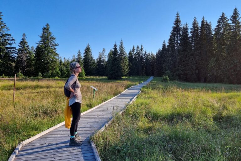 Trekking tour Ore Mountains
